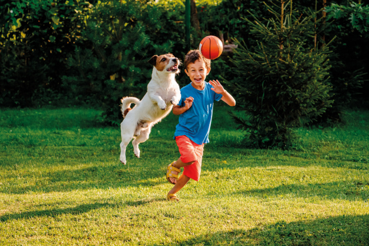 Petit gar&ccedil;on avec son chien