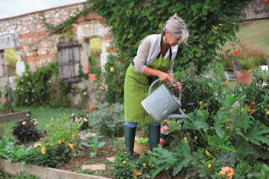 Votre potager