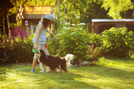 Petite fille et chien