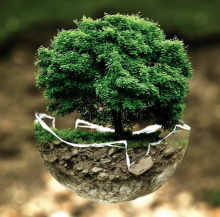 environnement