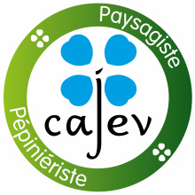 Logo client CAJEV
